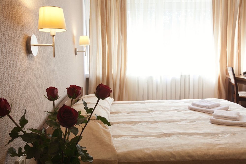 Airinn Vilnius Hotel 37/75