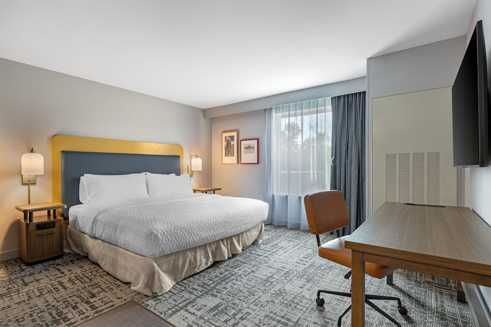 Efficiency, Suite, King Bed, Accessible