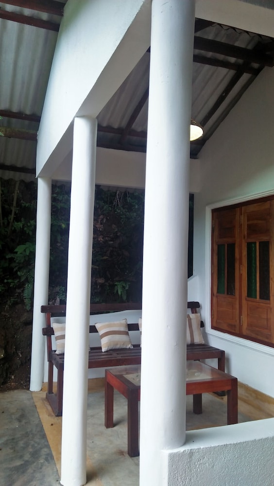 The Jungle House 4/50