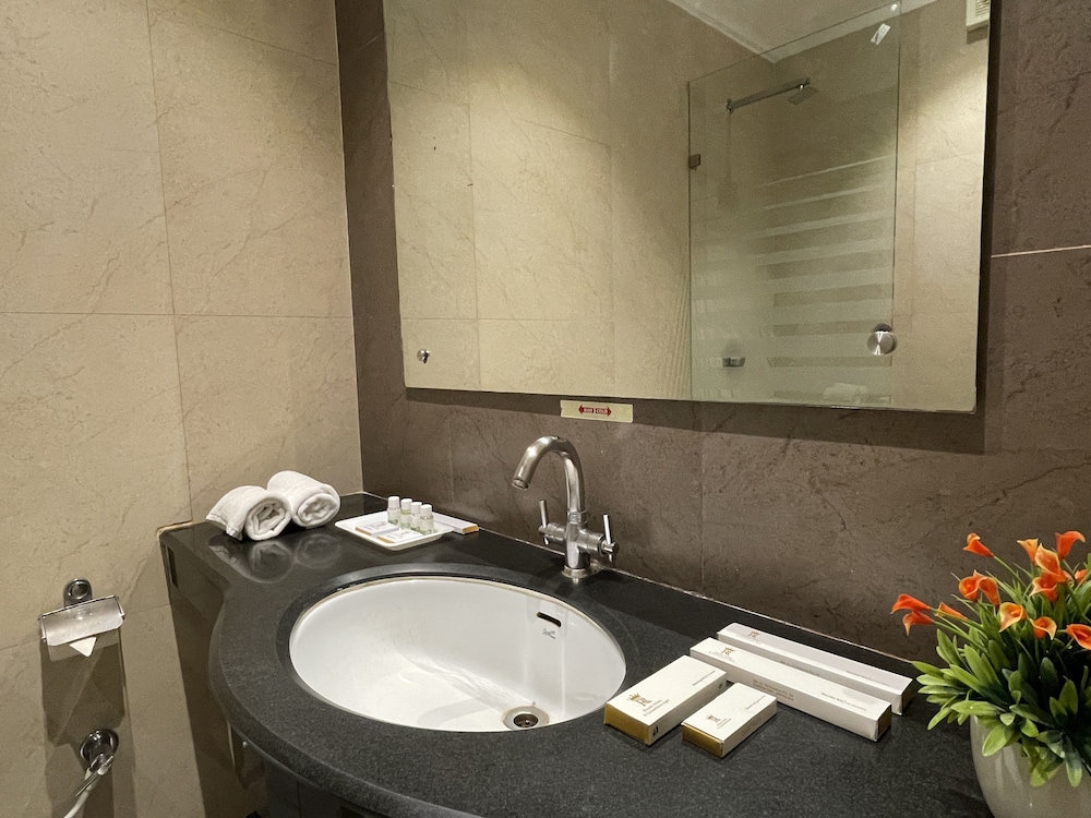 Royale Sarovar Portico Agra 29/65