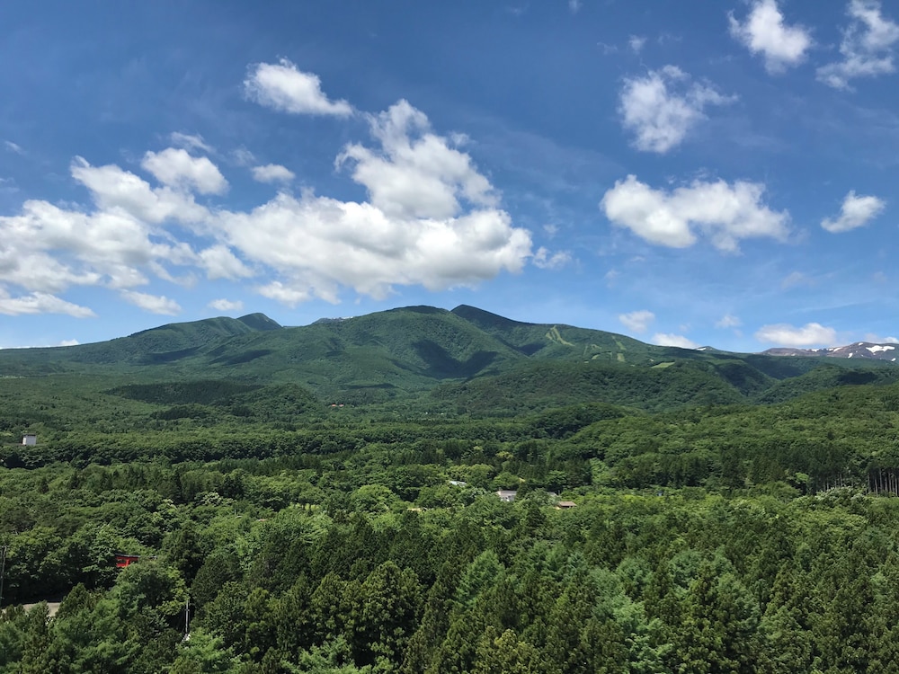 Mercure Miyagi Zao Resort & Spa 47/50