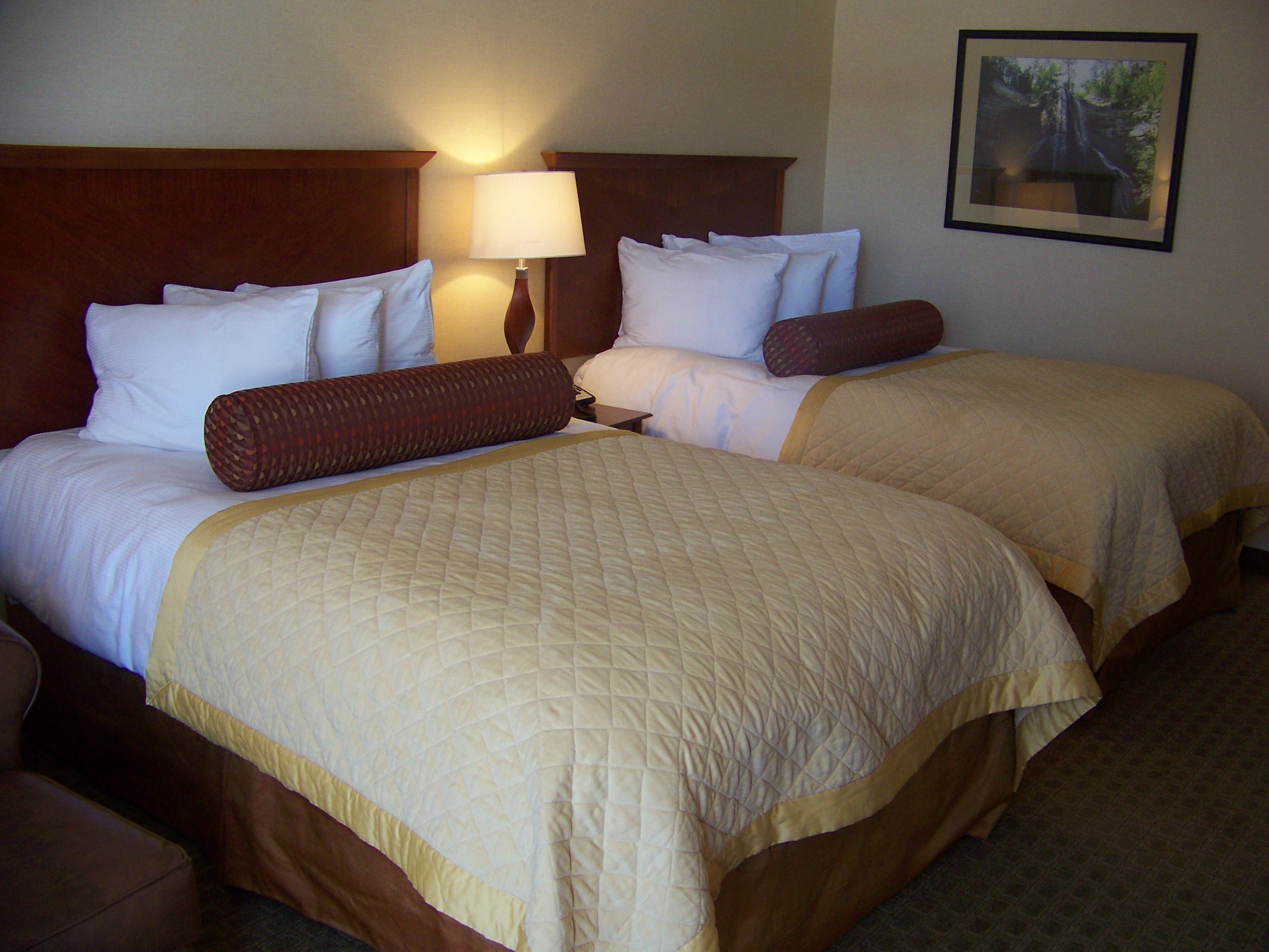 Norfolk Country Inn Suites 10/37