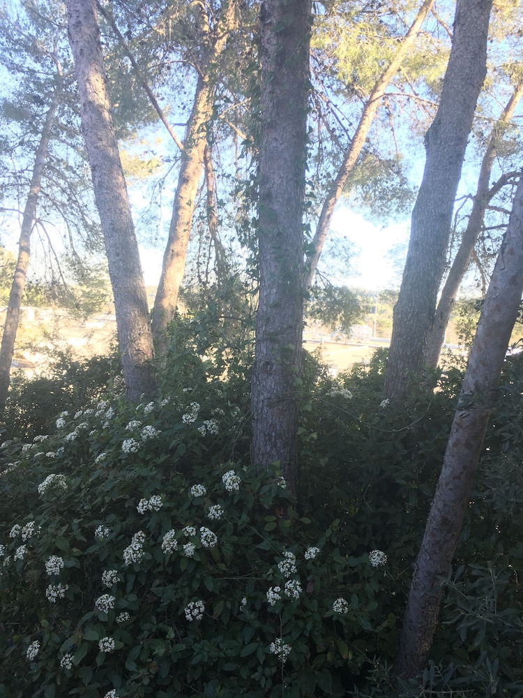 surroundings