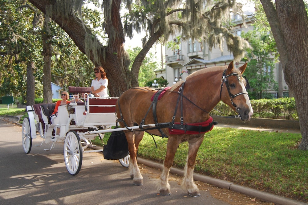 Hoyt House Amelia Island 26/51