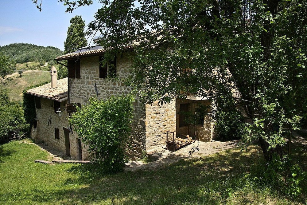 surroundings