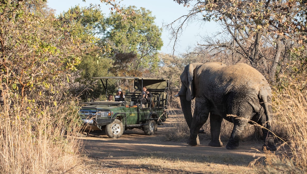Mabula Game Lodge 17/66