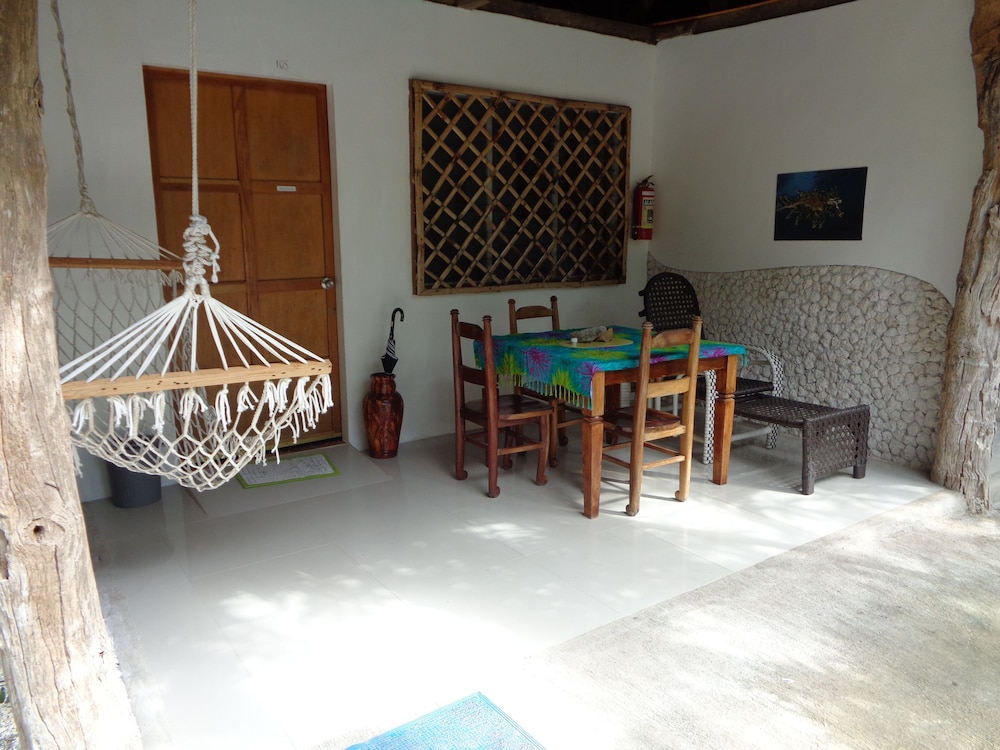 Sea Turtle House 25/50