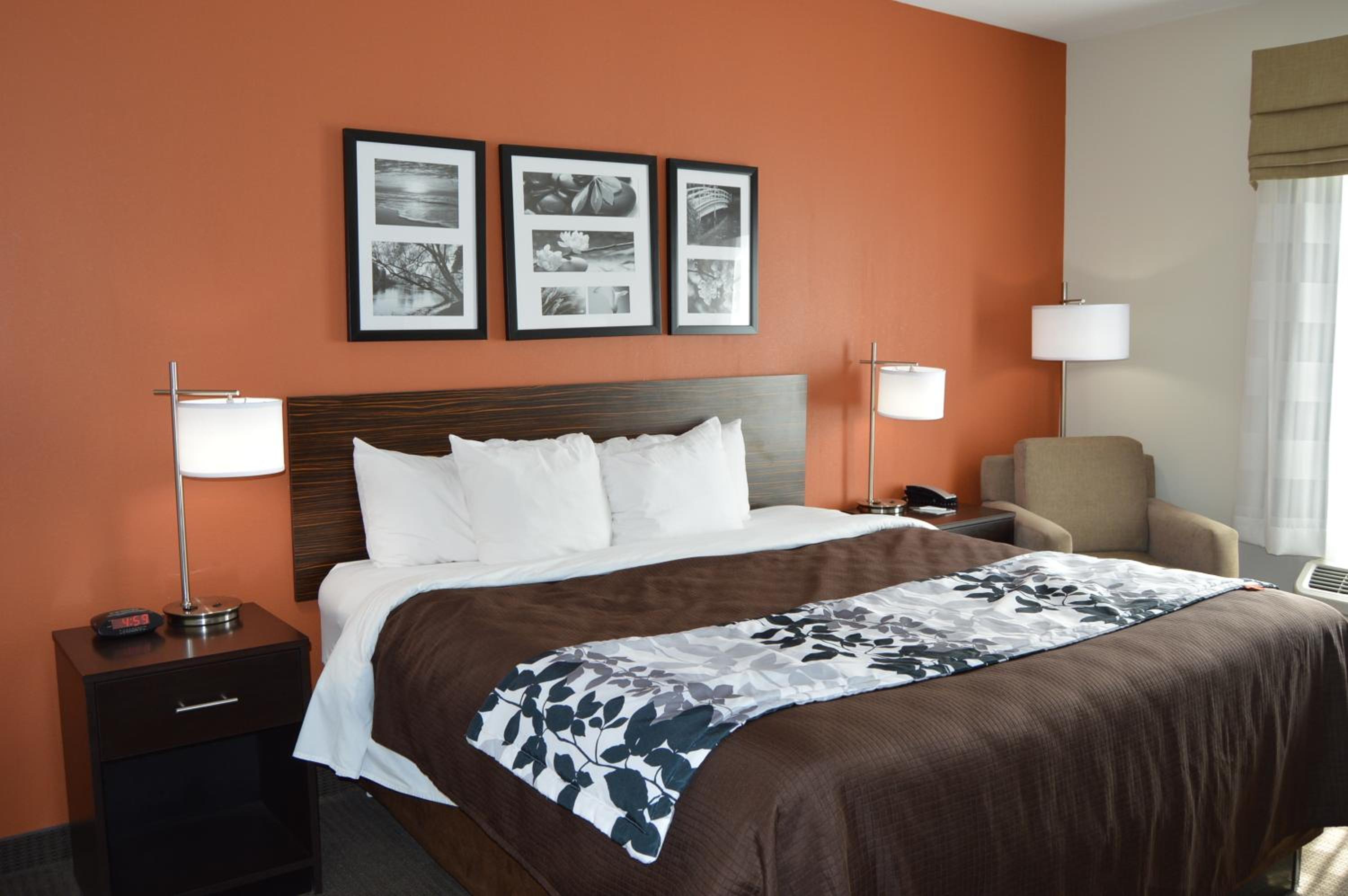 Deluxe, King Bed