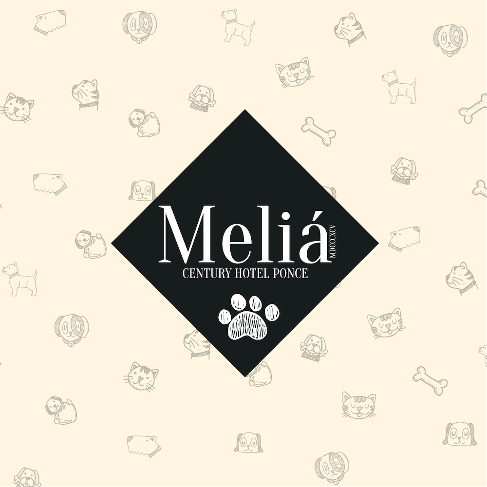 Melia Century Hotel Ponce 33/61