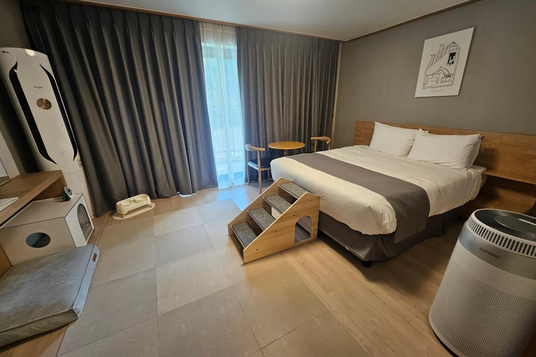 Premium, Single, 2 Queen Beds, Pet Friendly