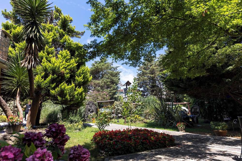 Village Park Resort Spa 40/50