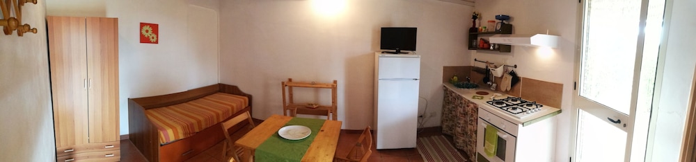 L'araucaria 17/50