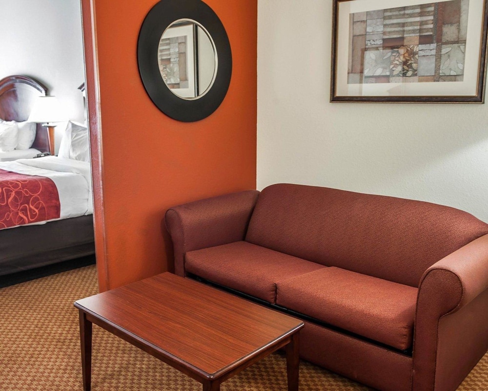 Comfort Suites near Indianapolis Airport 31/51