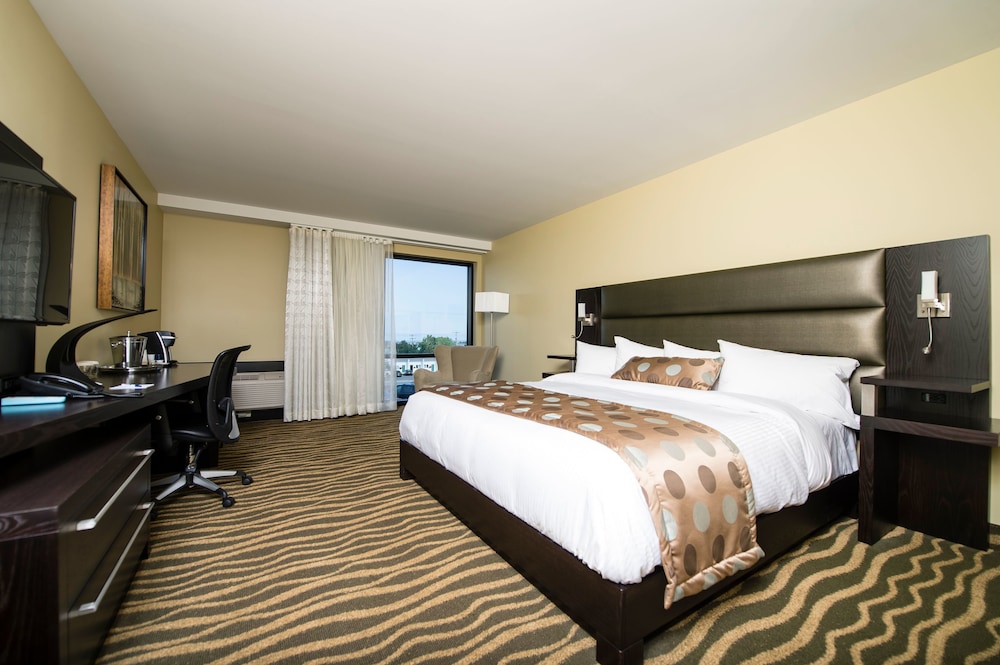 Hotel Levesque 11/50