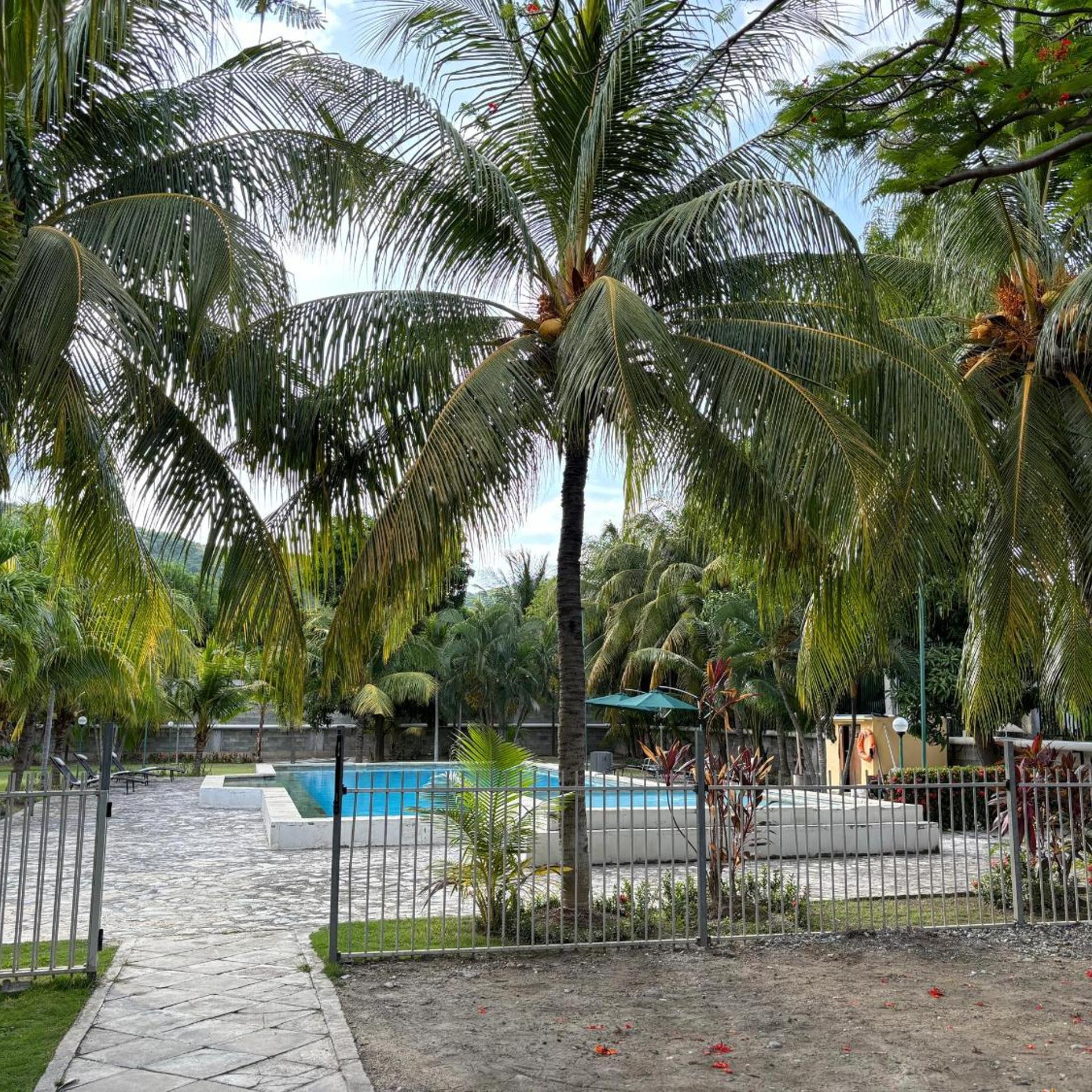 Palm Malinamoc Hotel 43/49