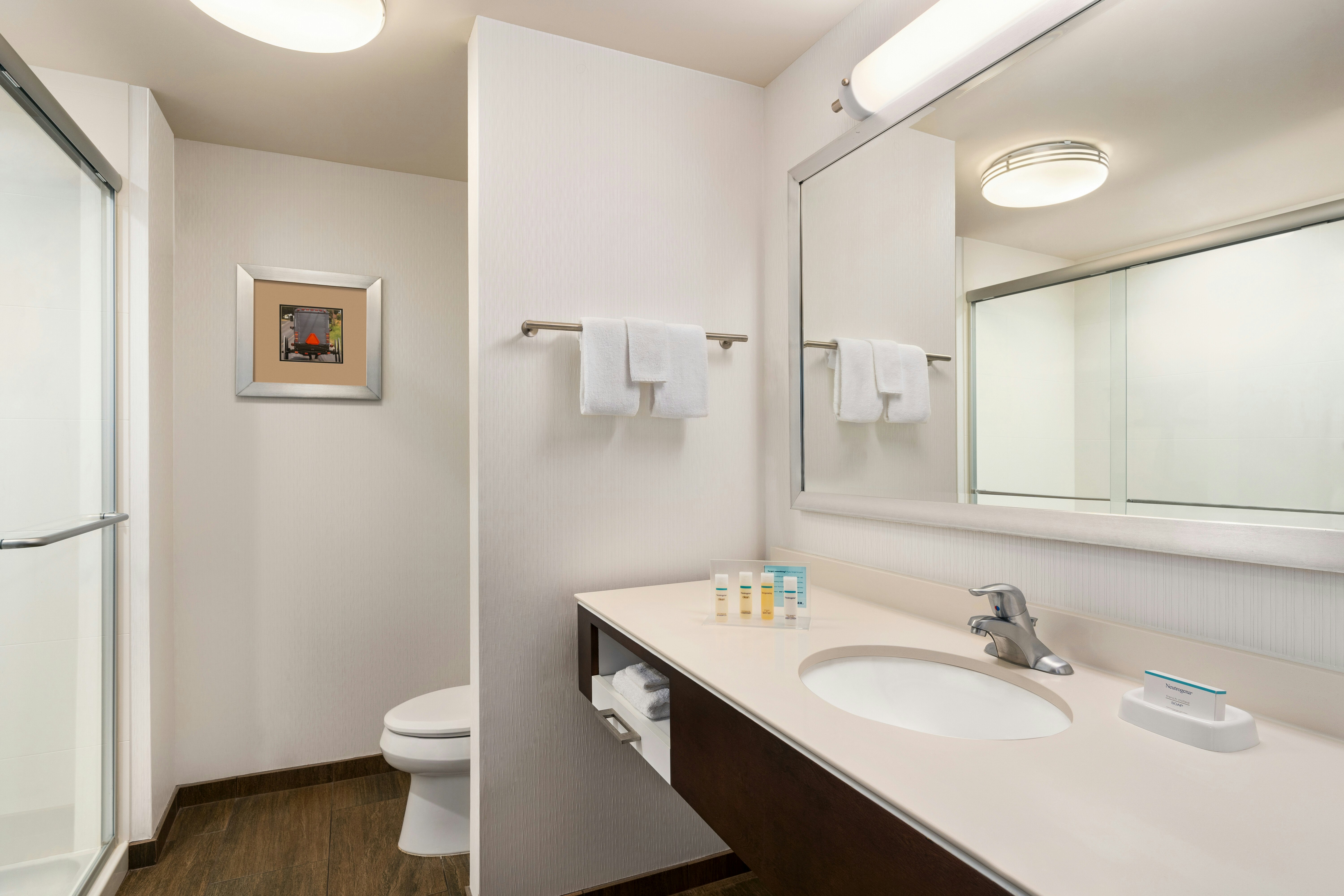 Room, King Bed, Hampton Inn and Suites Mount Joy Lancaster West 3/3