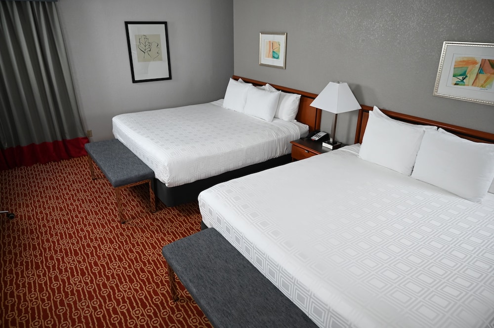 STANDARD, 2 KING BEDS