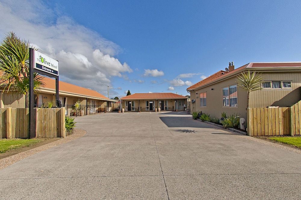 The Olive Motel 34/50