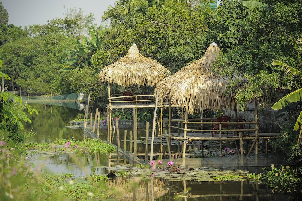 Hoang Giang Homestay 9/50