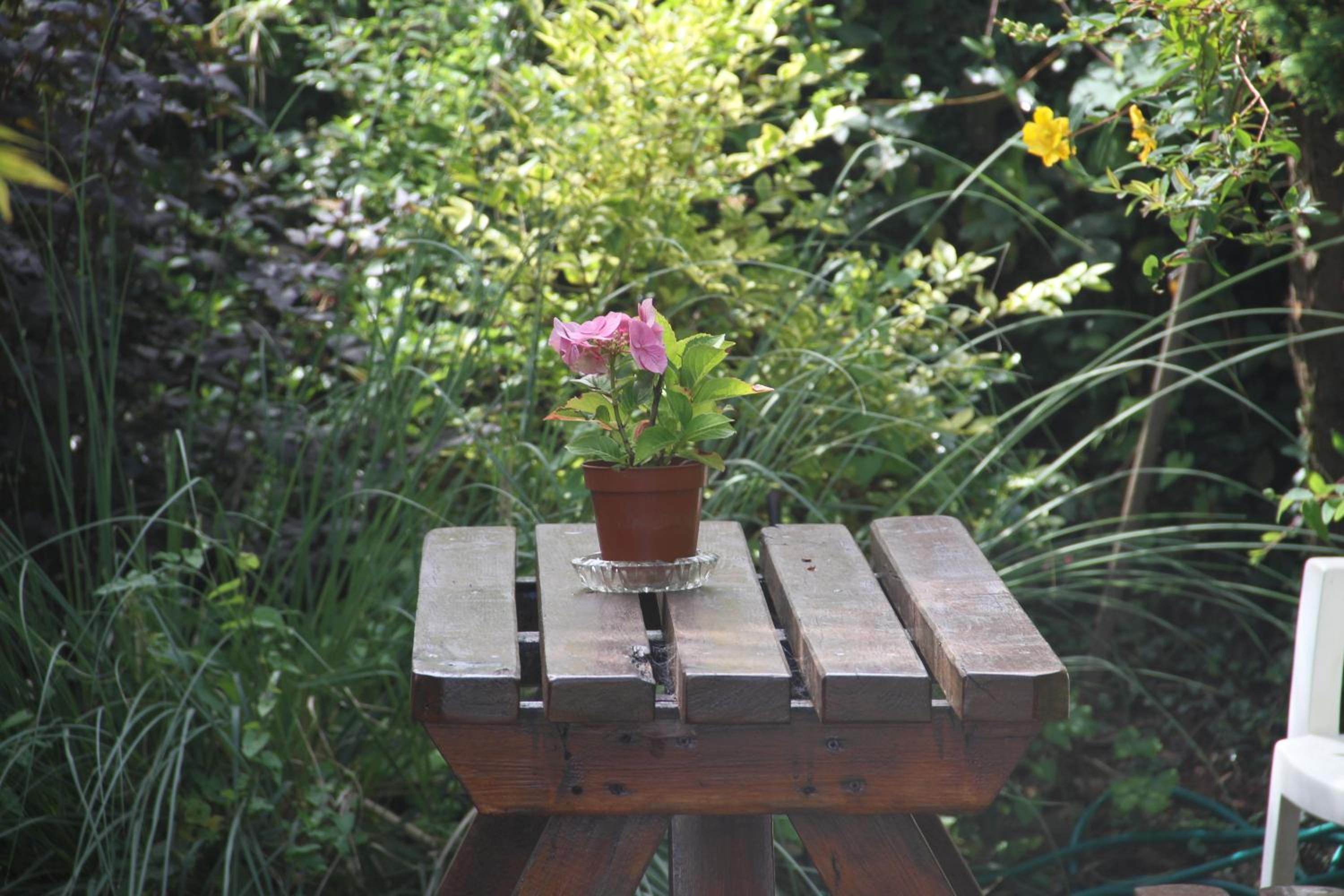 Marguerites B&B 21/21