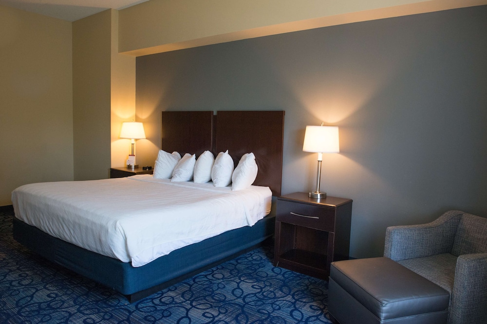 Best Western Plus Waynesboro Inn & Suites Conference Center 7/33