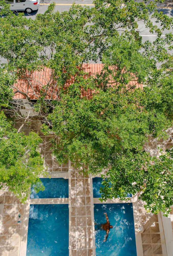 Casa del Arbol Condo 42/50