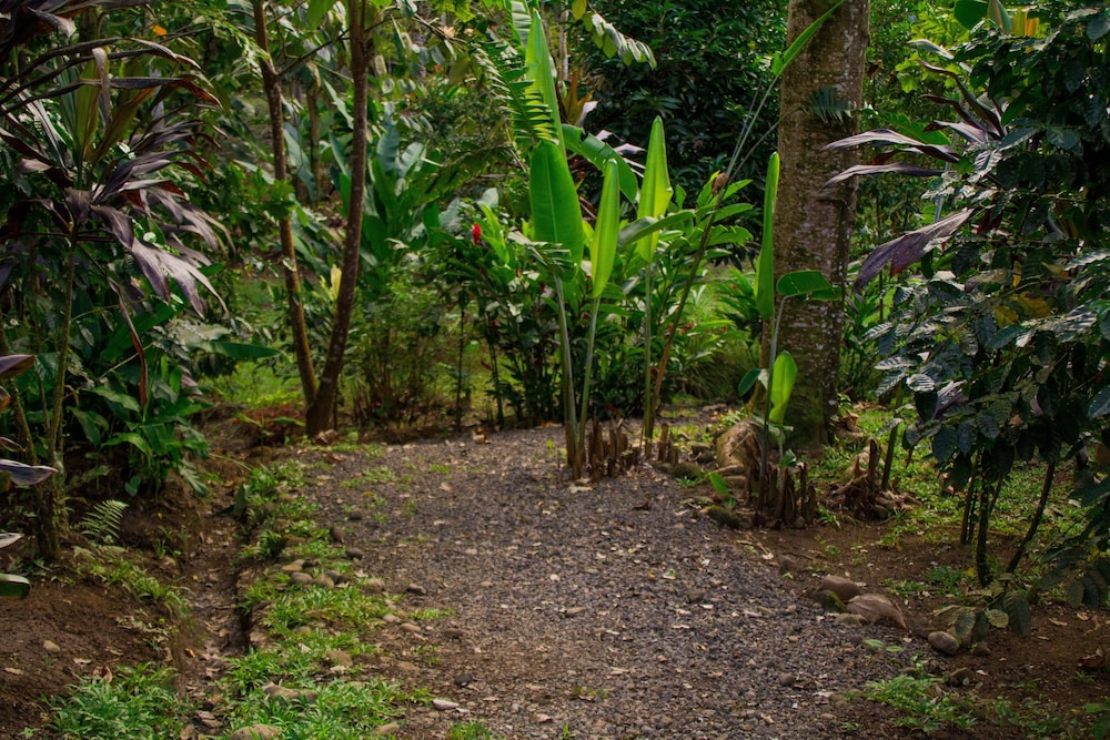 Arenal Cacao House 42/50