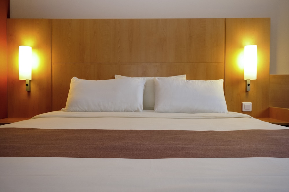 ibis Bulle La Gruyere 10/39