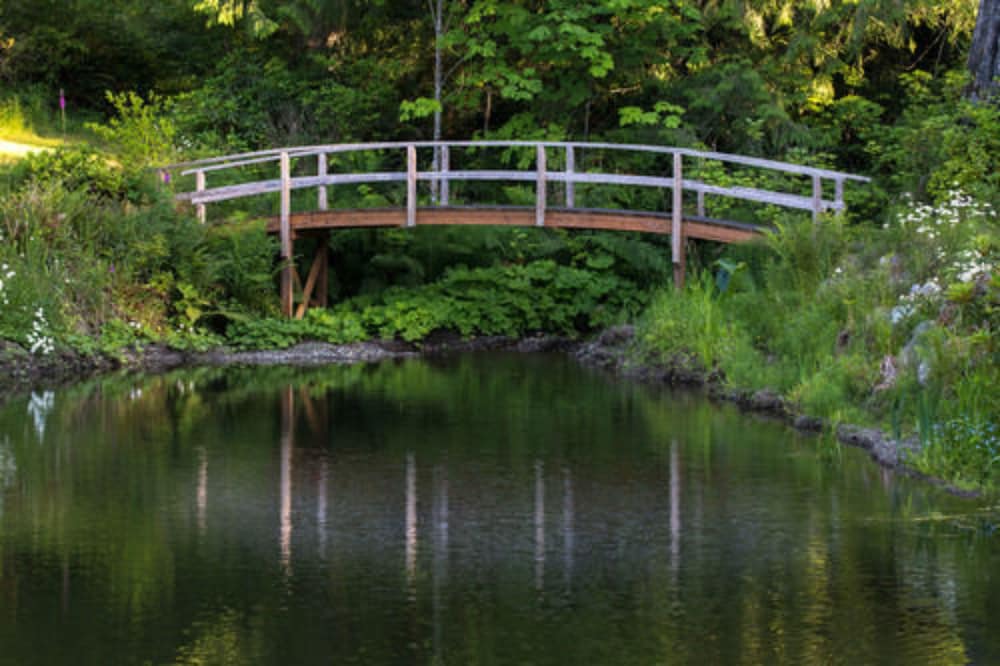 A Hidden Haven & Water Garden Cottages 35/48