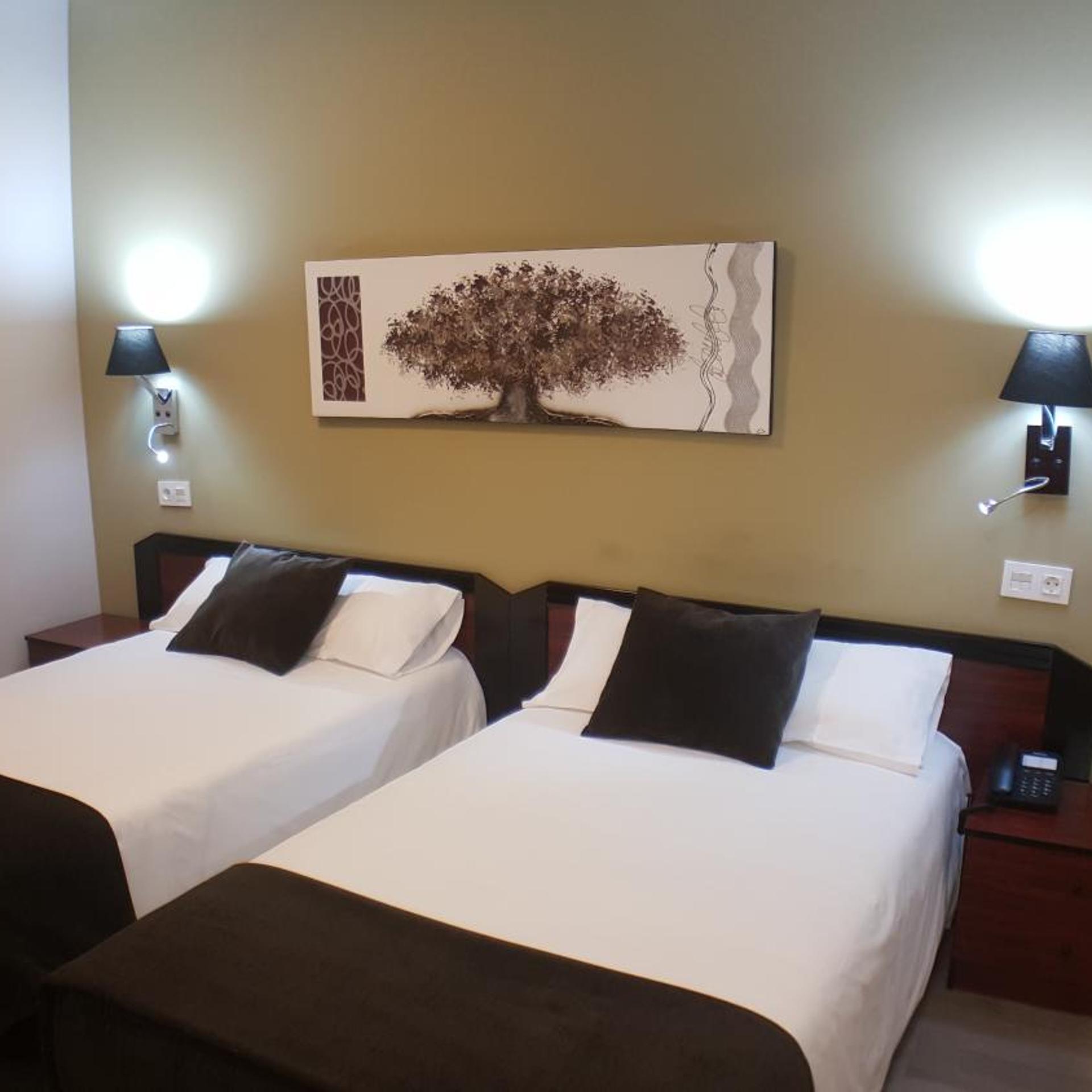 Hotel El Haya 19/46