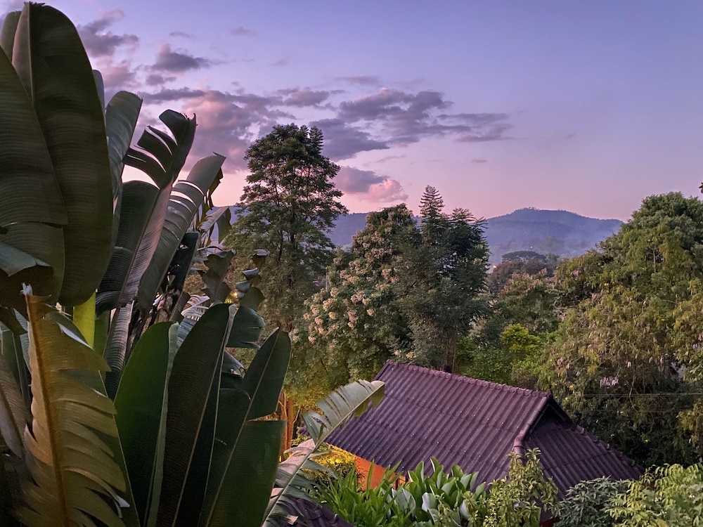 PURA VIDA PAI RESORT 55/65