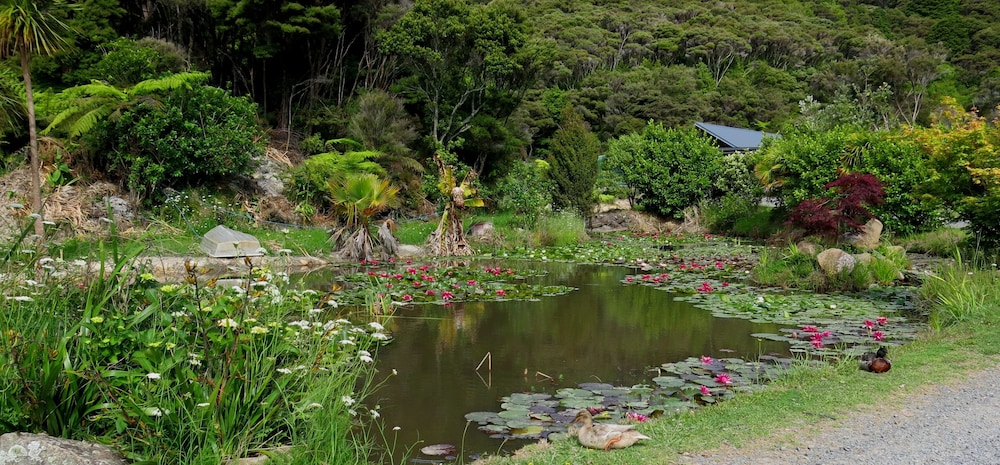 Bay of Islands Holiday Apartments 38/50