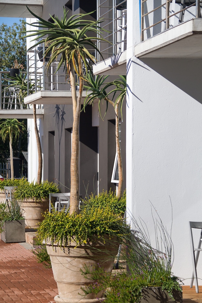 Quiver Tree Self Catering Apartments 38/44