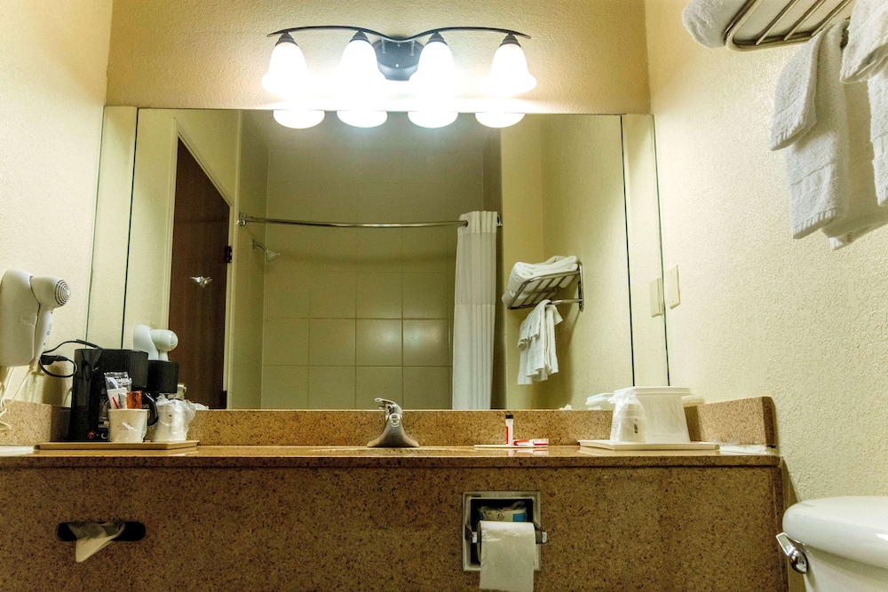 Days Inn & Suites By Wyndham Houston North/Aldine 56/68