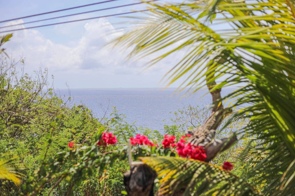 Manta Cottage Seaview Plus 42/50