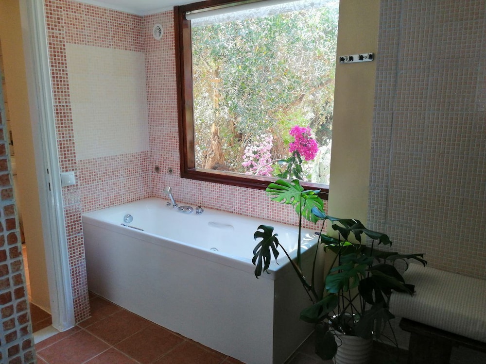 Elia Traditional Hotel & Spa 50/50