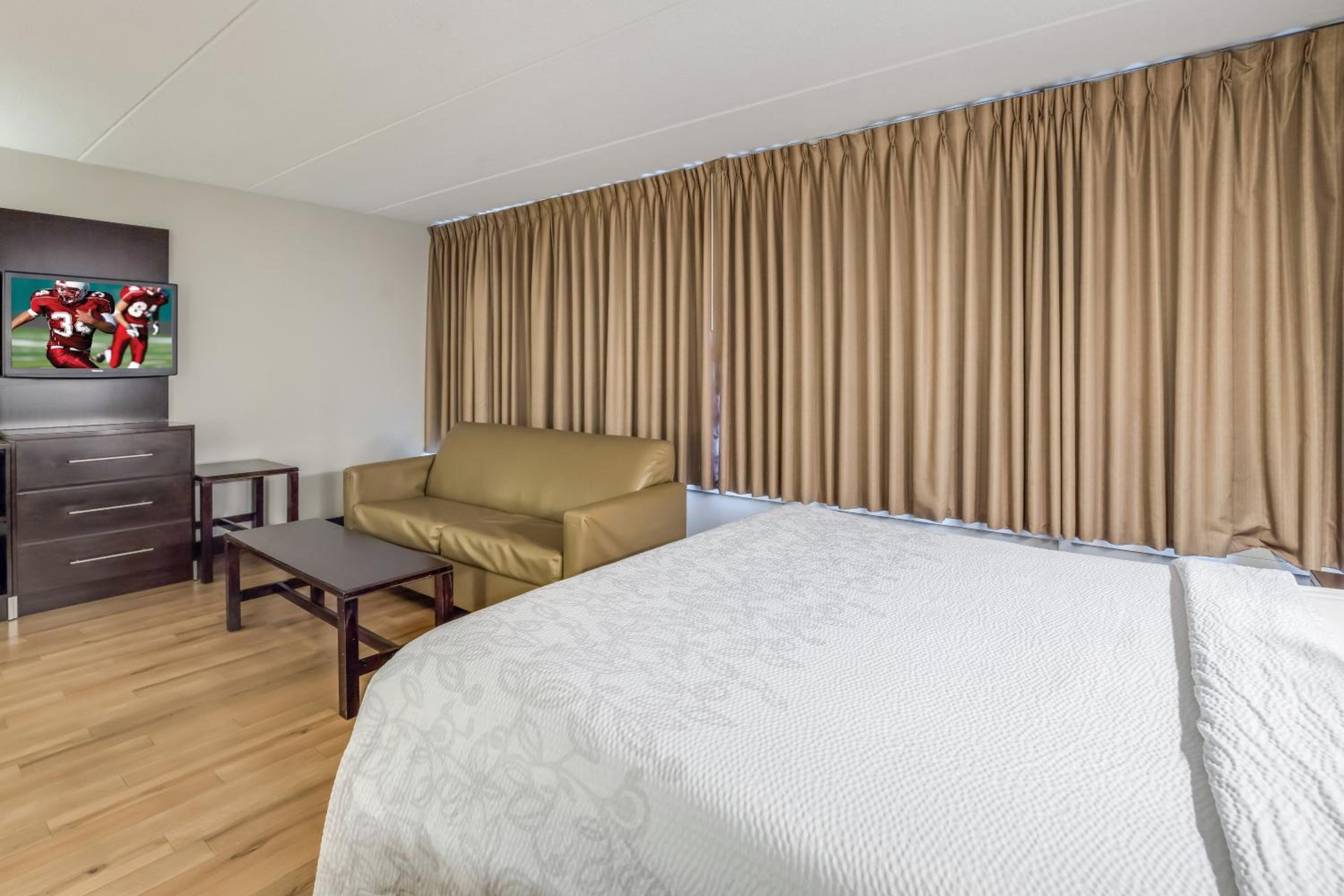 Suite, King Bed, Sofa, Accessible
