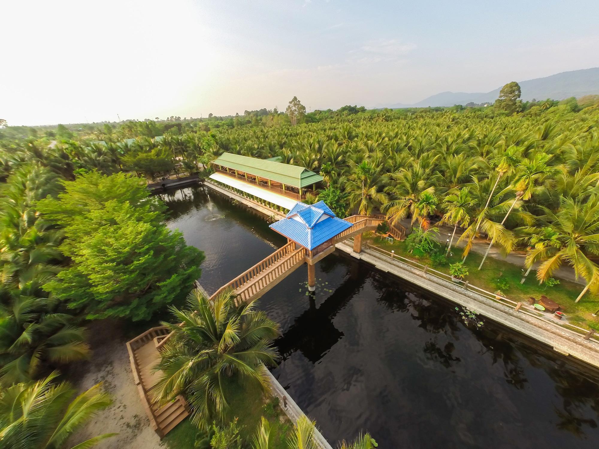 Coconut Resort 62/74