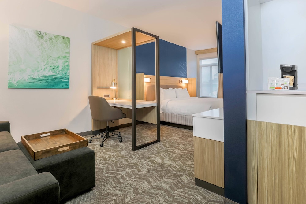 SpringHill Suites by Marriott Tallahassee North 30/48