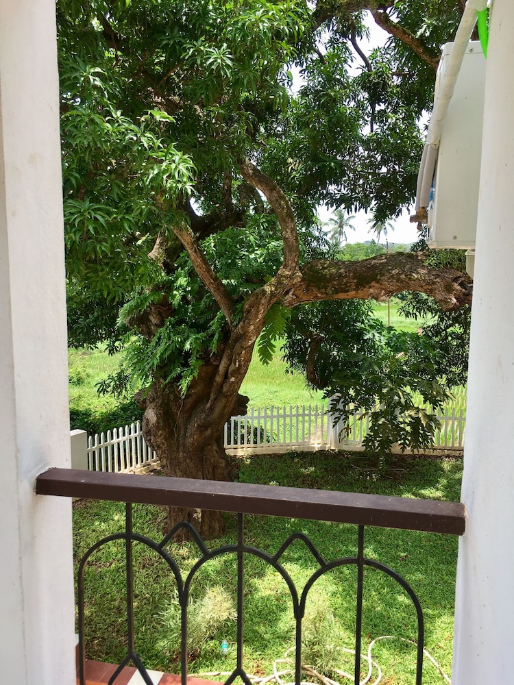 Monarch Suites 25/40