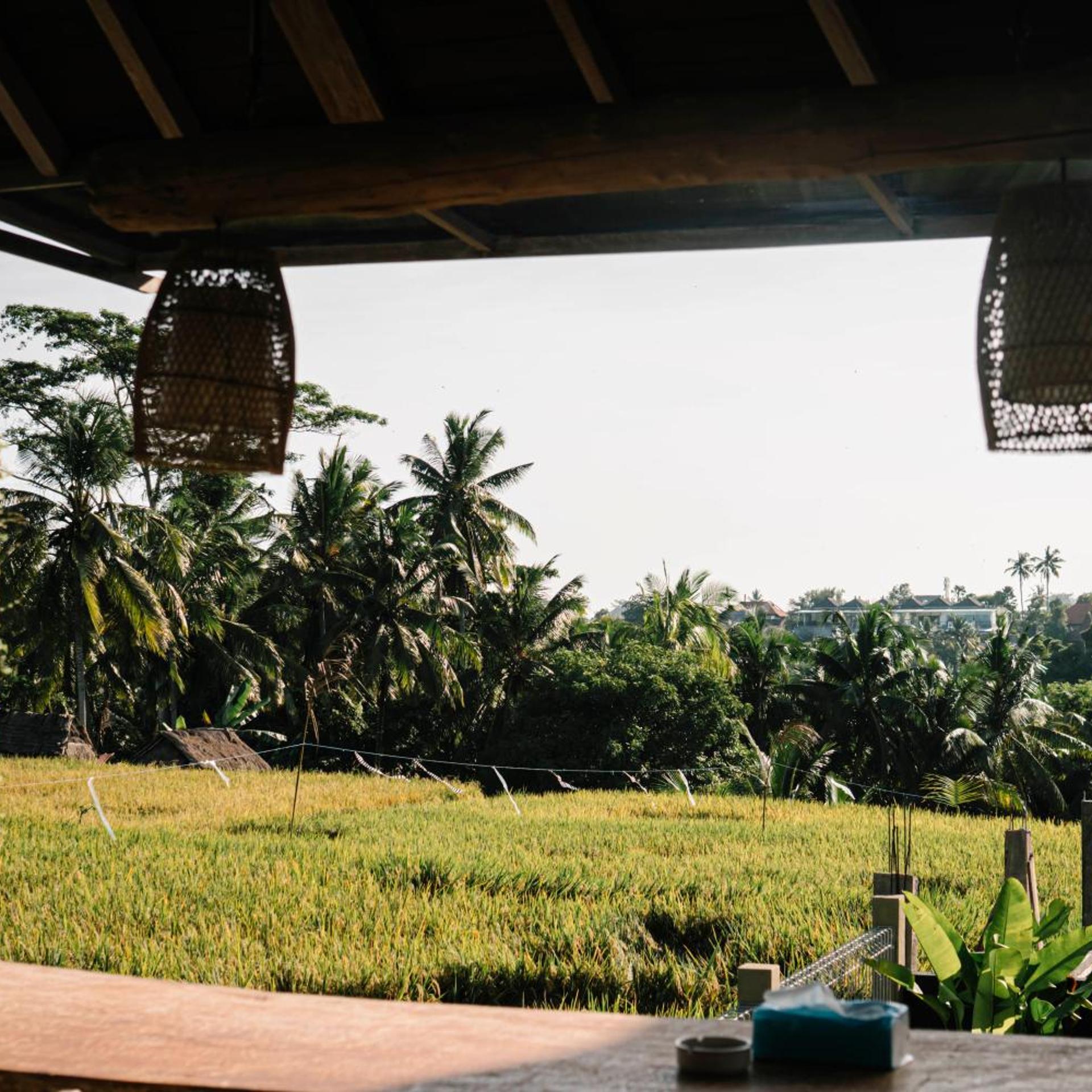 Raditya Villas Ubud 40/50