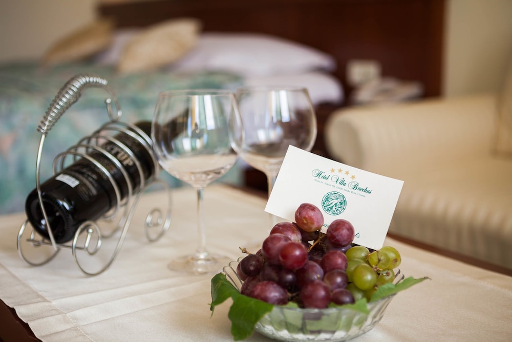 Hotel Villa Bacchus 15/50