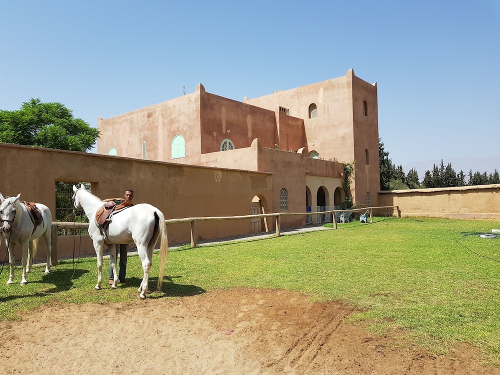 Palais Claudio Bravo 46/47