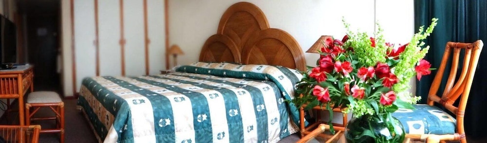 Oliva Plaza Hotel 3/50