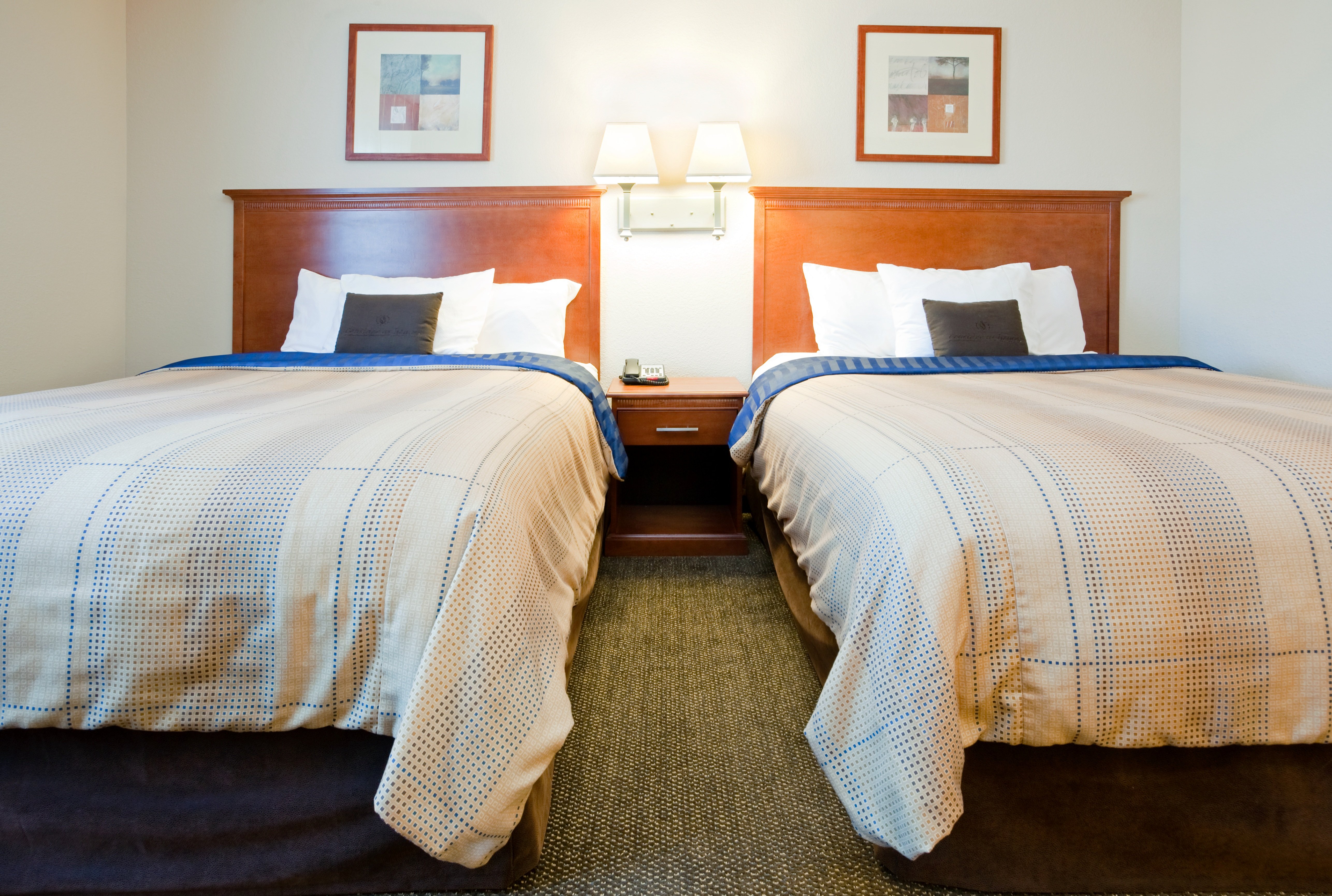 Candlewood Suites New Bern 22/75