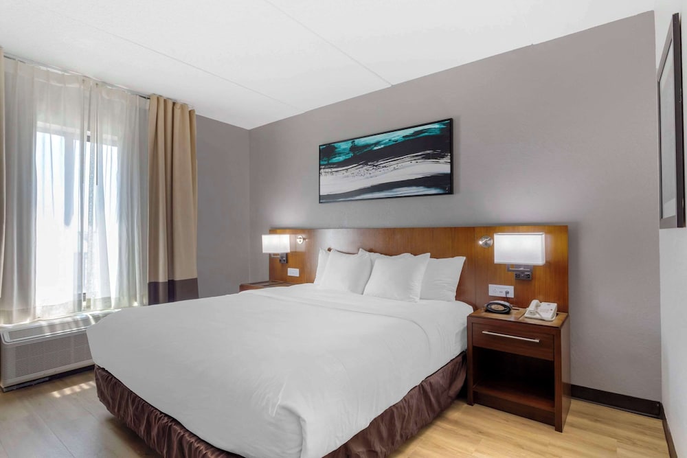 Suite, King Bed, Sofa, Accessible