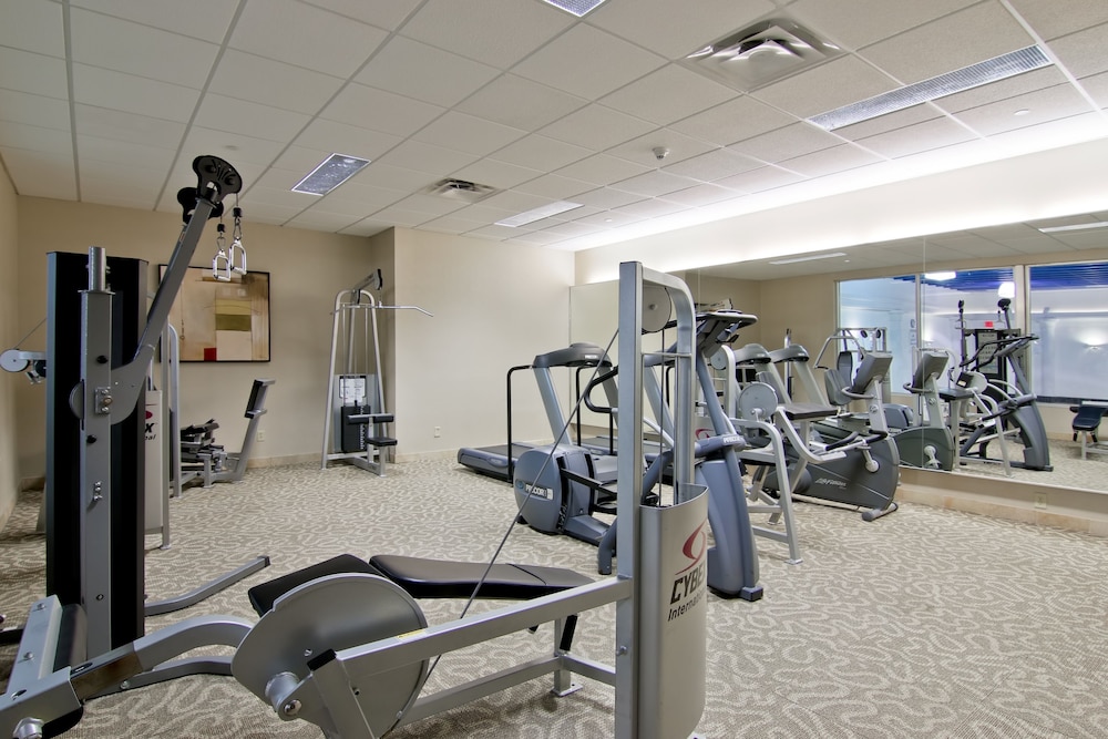 Holiday Inn Hotel Suites St Catharines Conference Ctr 33/81