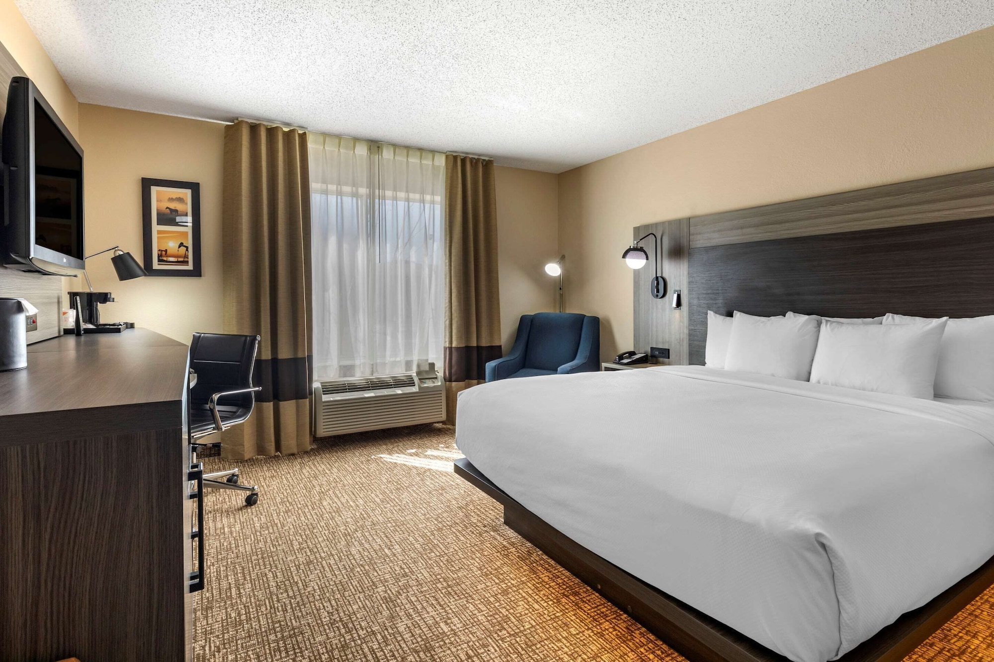 ROOM, KING BED, ACCESSIBLE