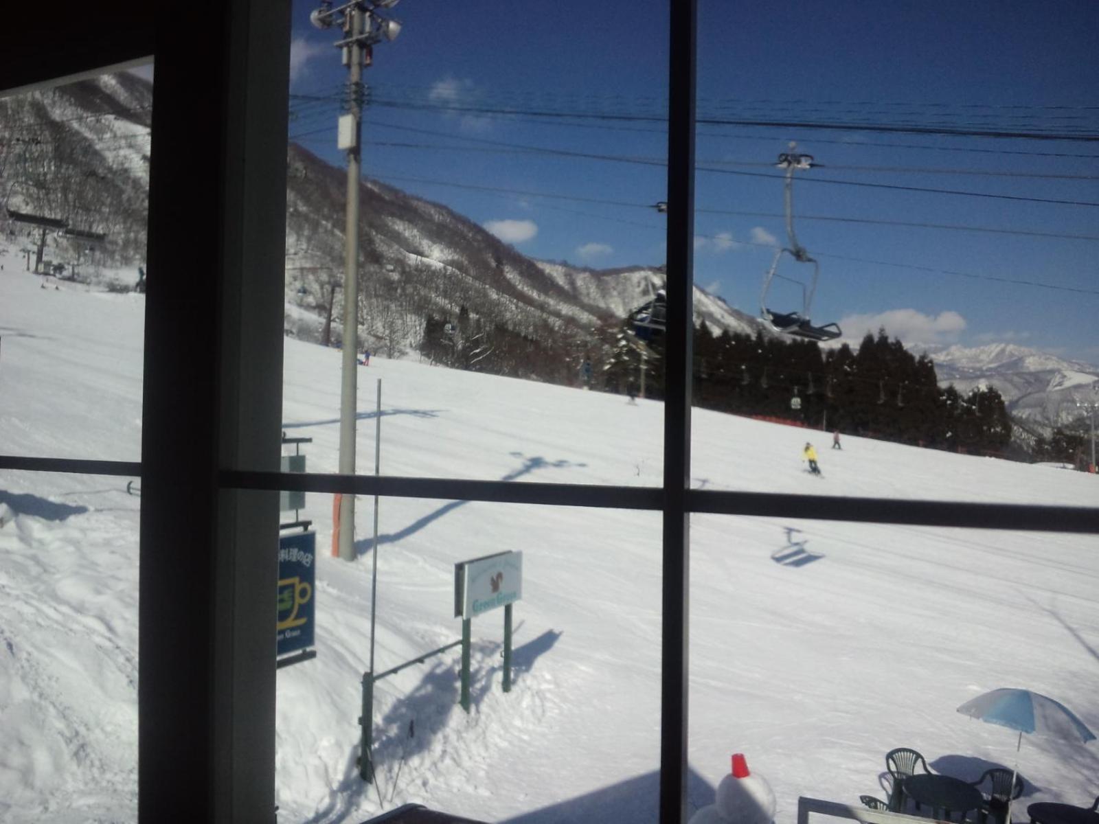 Green Grass Hakuba 46/49