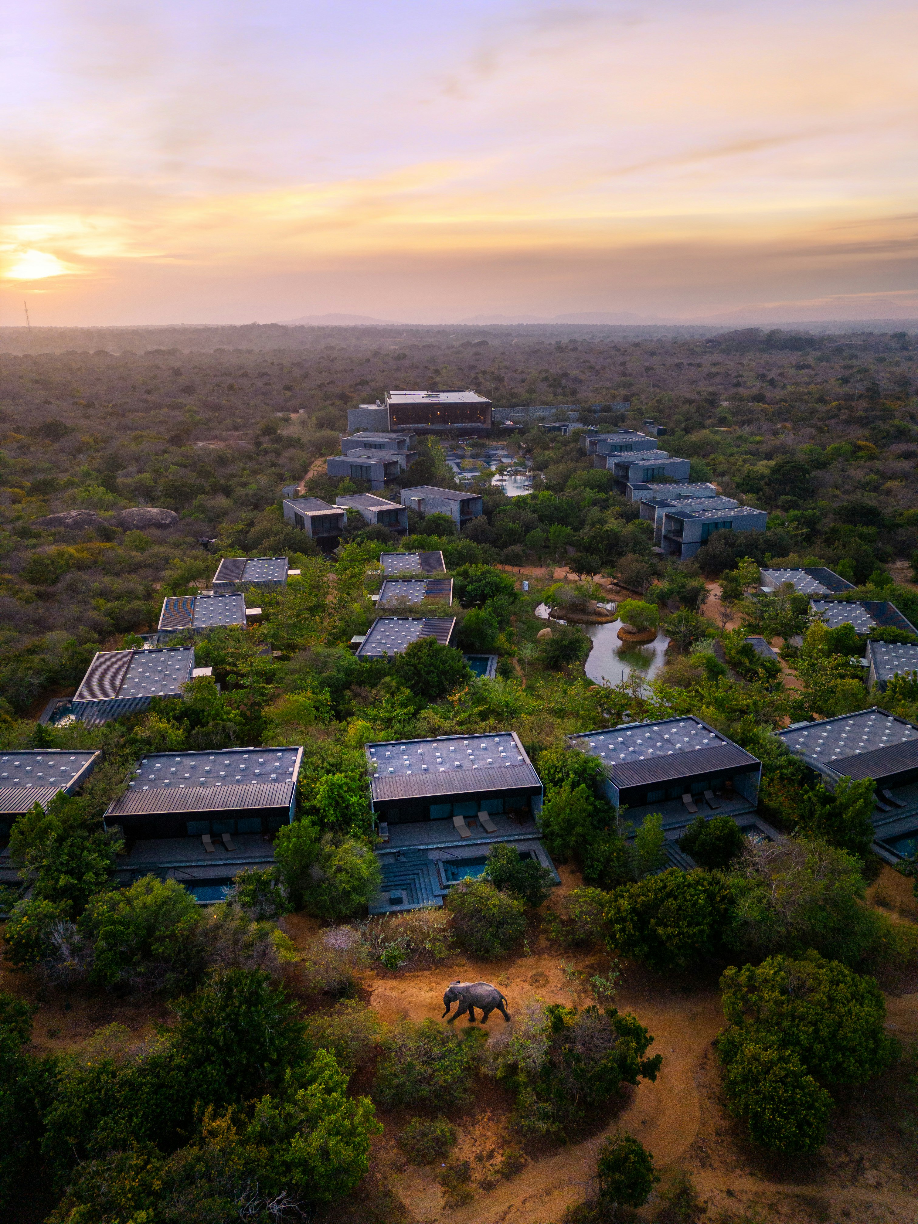 Hilton Yala Resort 39/42